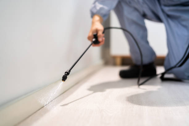 Bed Bug Pre-Treatment Preparation Assessment in Benson