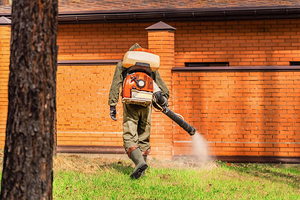 Bed Bug Clearance Verification and Documentation in Benson